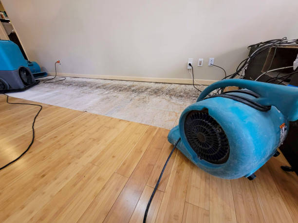 Professional Structural Drying technician working in Saint Elizabeth, MO